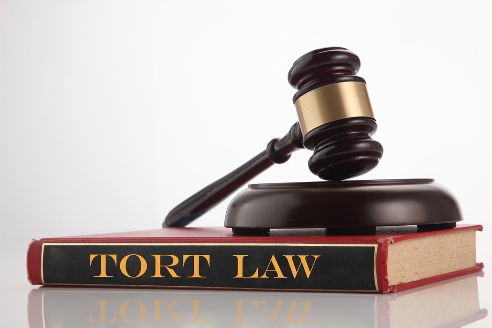 Wooden gavel resting on a red book titled Tort Law
